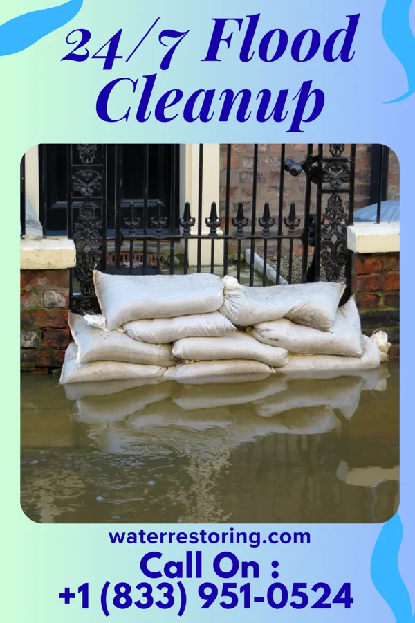 24/7 Flood Cleanup in Graceville, MN