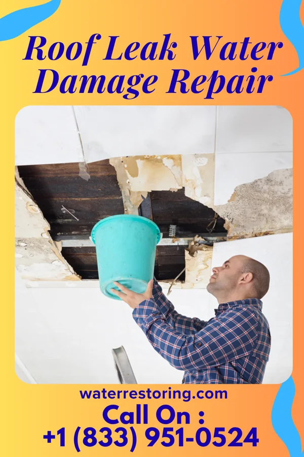 Roof Leak Water Damage Repair in Graceville, MN